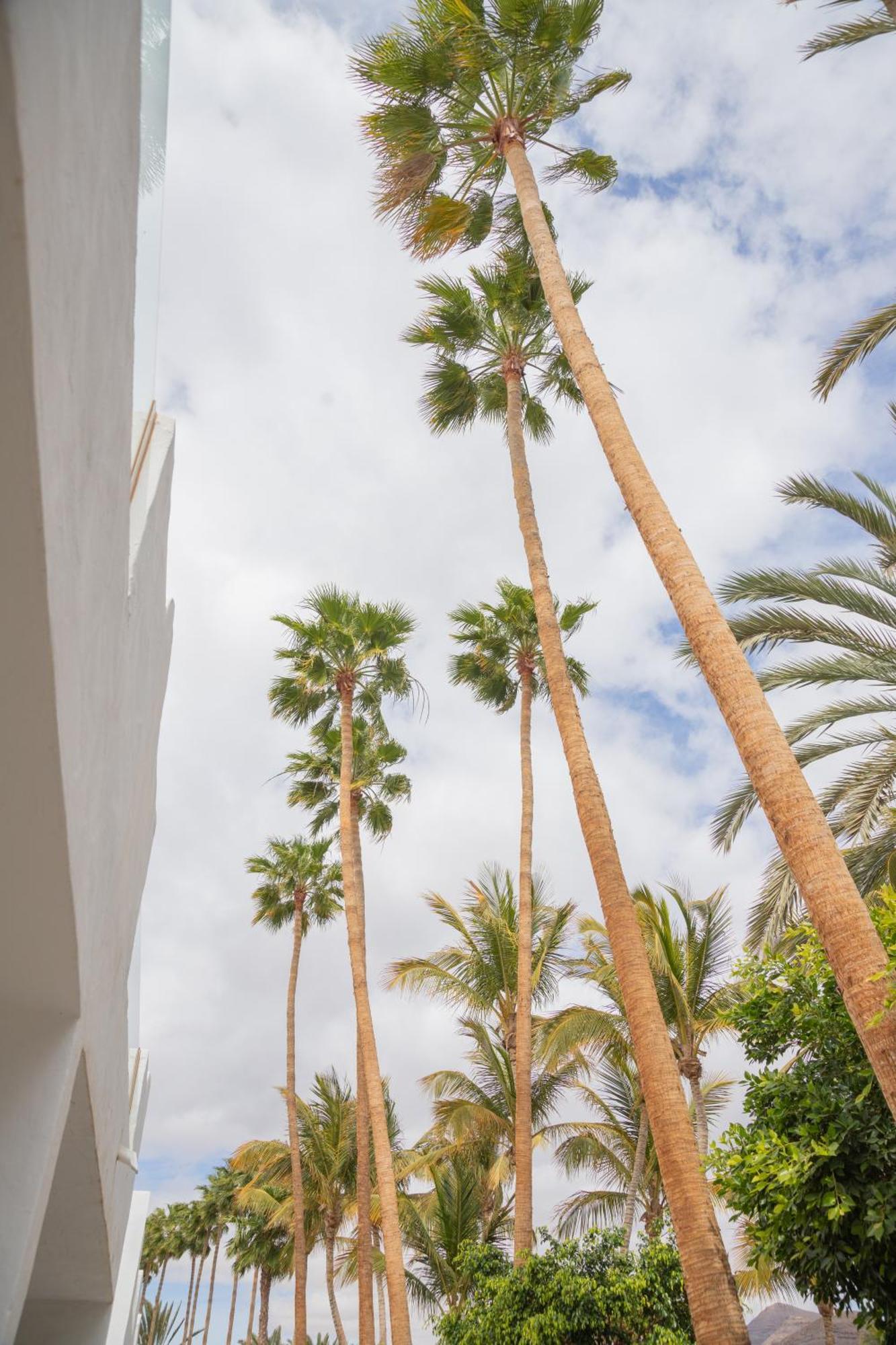 Palm Beach Fuerteventura Tarajalejo Zewnętrze zdjęcie