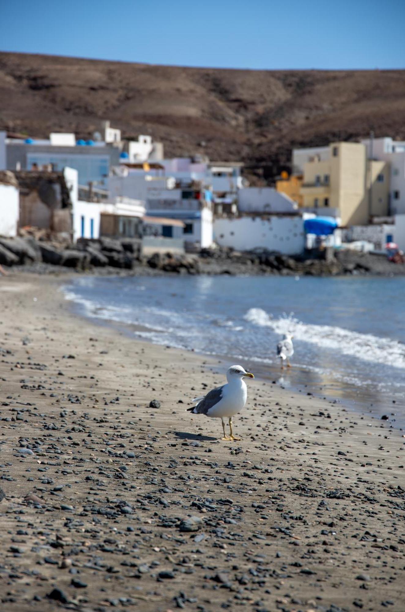 Palm Beach Fuerteventura Tarajalejo Zewnętrze zdjęcie